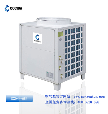 引領未來，連接智慧——卓越網絡咨詢服務公司