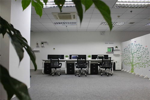 網頁設計新篇章 百創互聯如何以優質服務引領網絡咨詢新趨勢